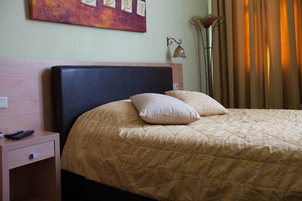 Ermionio Hotel Kozani Exteriér fotografie